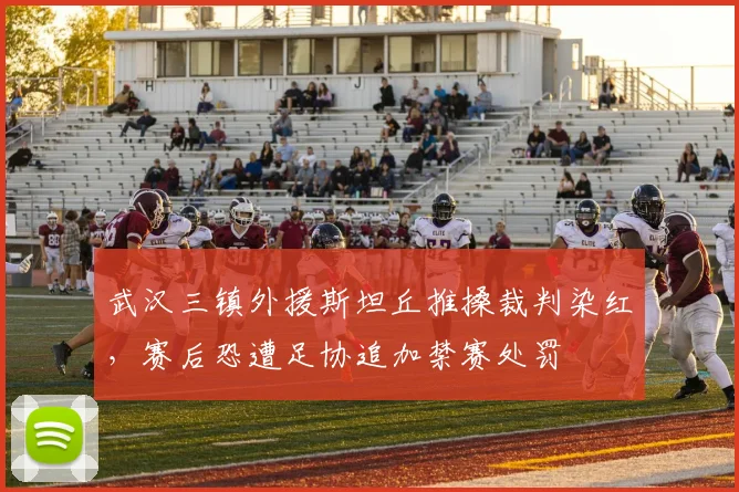 武汉三镇外援斯坦丘推搡裁判染红,赛后恐遭足协追加禁赛处罚