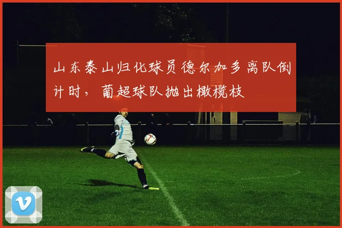 山东泰山归化球员德尔加多离队倒计时,葡超球队抛出橄榄枝